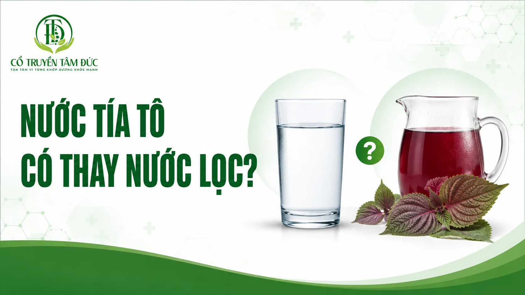 Uống nước tía tô thay nước lọc được không? Cách dùng an toàn, đúng khoa học