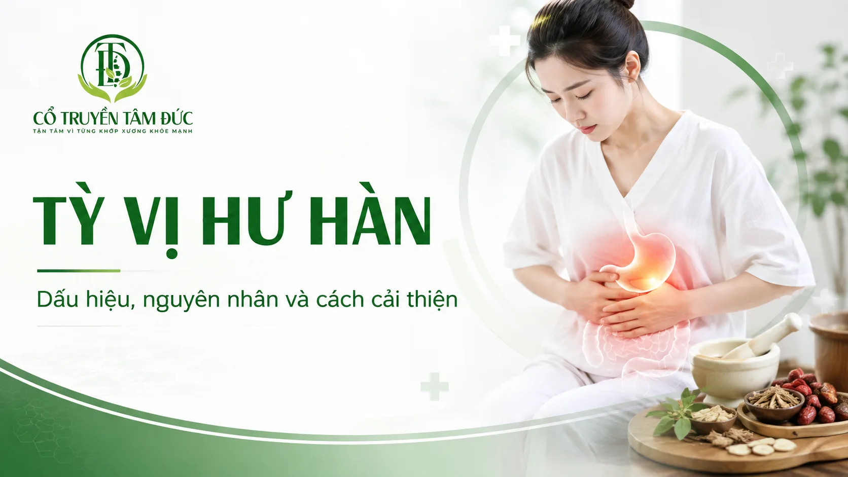 Tỳ vị hư hàn là gì? Dấu hiệu, nguyên nhân và cách cải thiện theo Y học cổ truyền