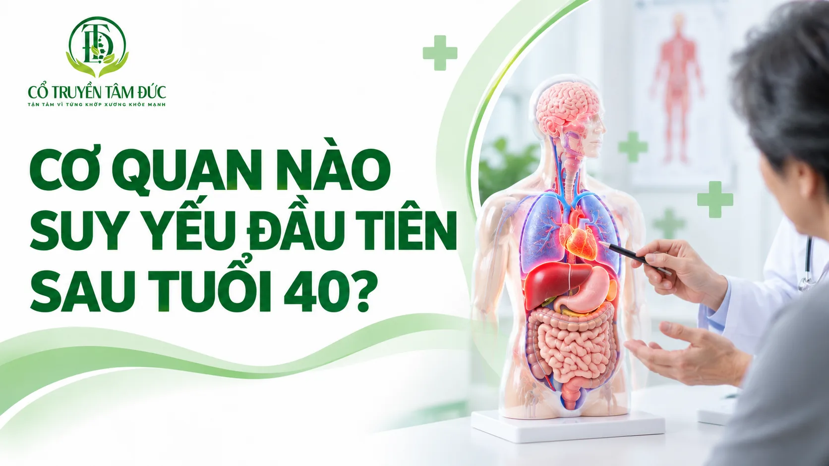 Sau tuổi 40, cơ quan nào “suy yếu” đầu tiên? Những thay đổi cơ thể dễ nhận thấy nhất