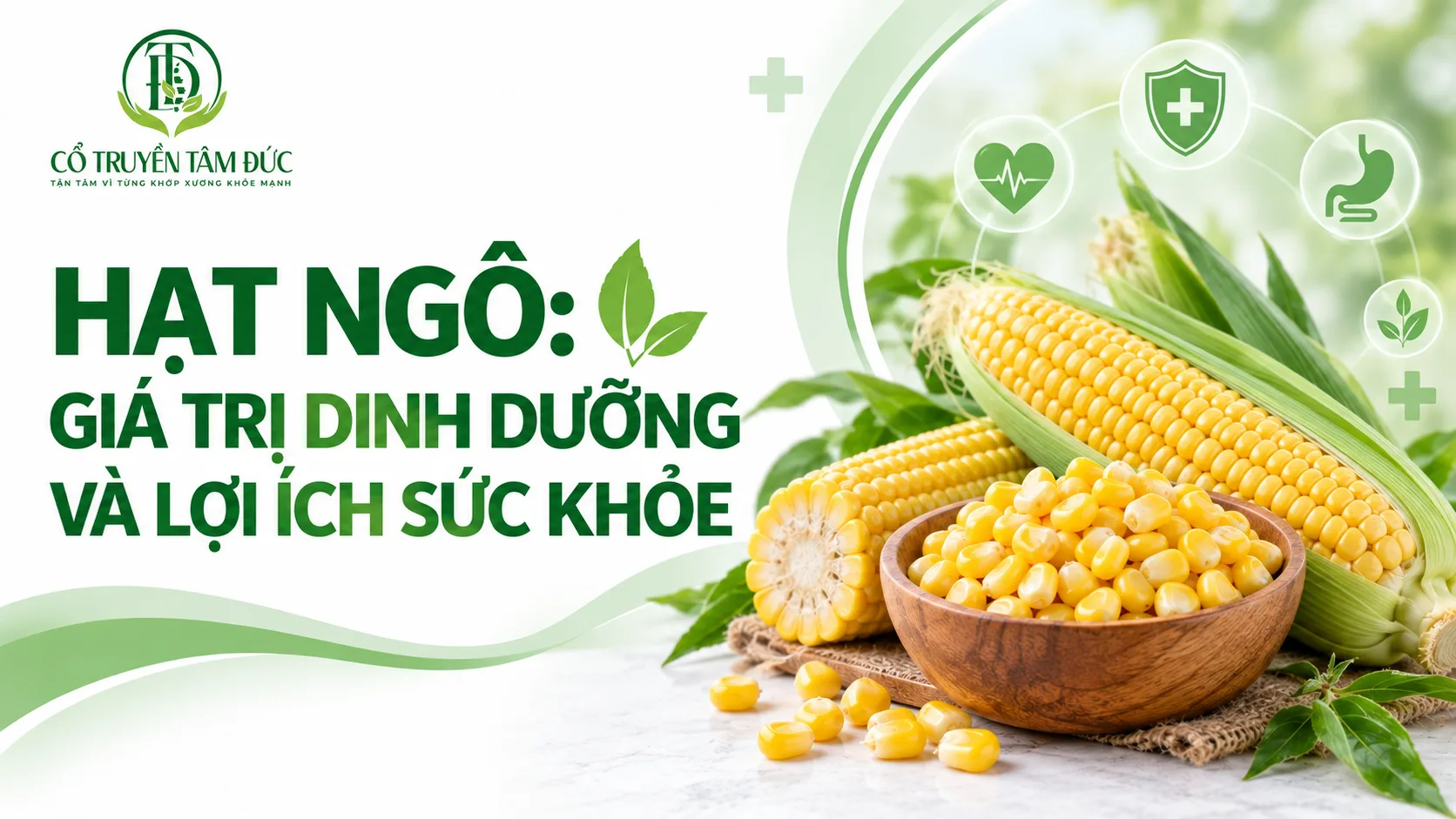 Hạt ngô: Giá trị dinh dưỡng, lợi ích sức khỏe và cách ăn đúng